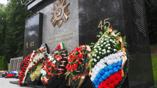 Мэрия Воронежа оценит повреждения мемориала в парке «Динамо»