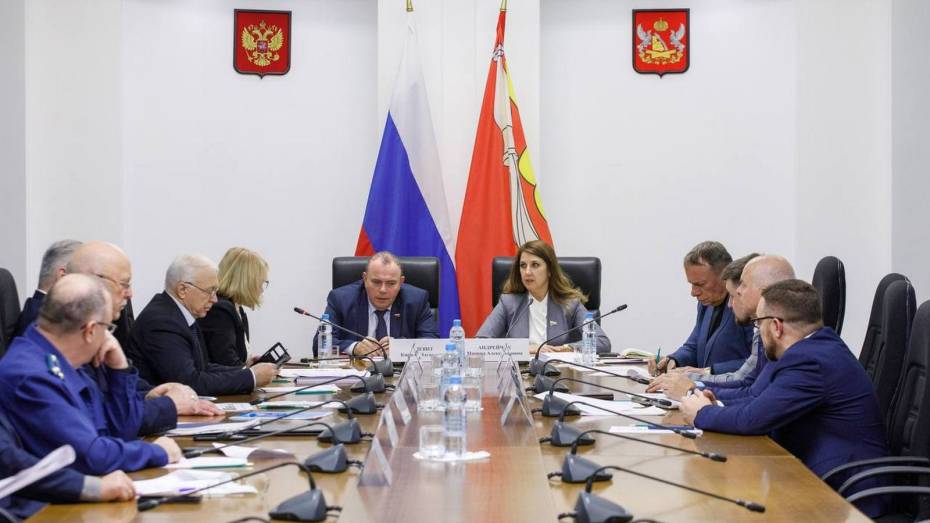 В Воронежской облдуме начал работу комитет по поддержке НКО и укреплению межнациональных отношений