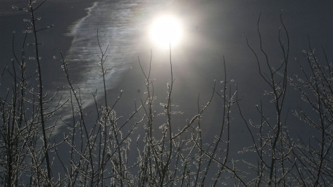 После аномального потепления в Воронежскую область вернутся 11-градусные морозы