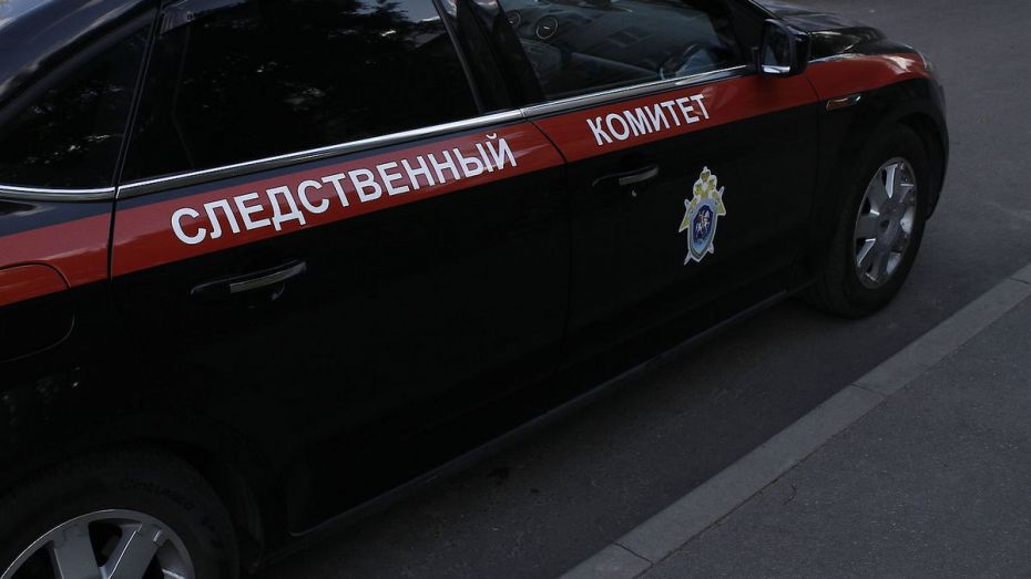 Камера наблюдения сняла нападение на пожилую женщину в Воронеже
