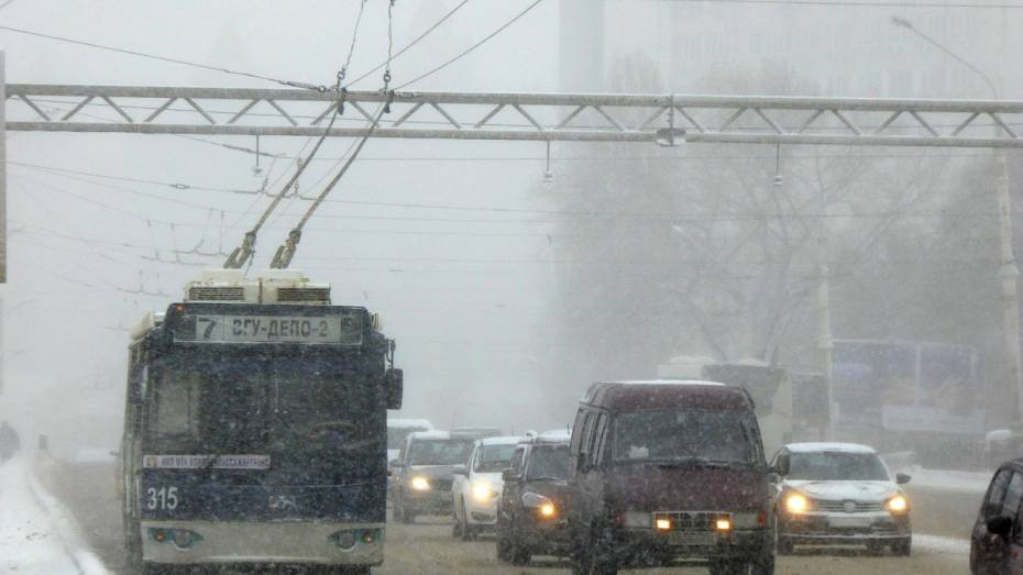 Госавтоинспекция предупредила воронежских водителей о снегопаде