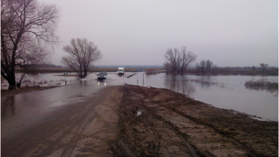 В Воронежской области один из затопленных мостов открыли для движения