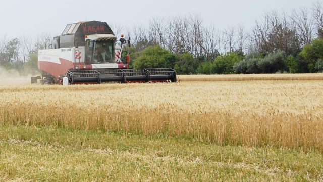 В Воронежской области объем экспорта сельскохозяйственной продукции за год вырос на 30 процентов