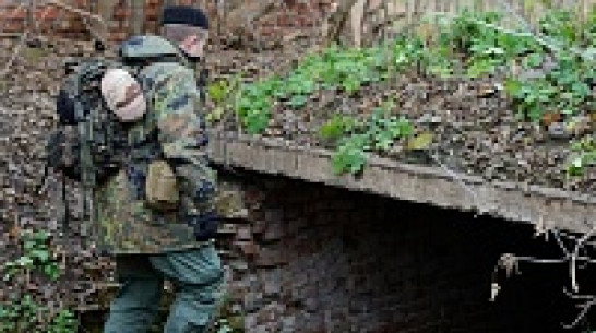 Образ недели: 11 ноября – 18 ноября