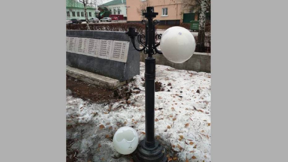 Неизвестные разбили плафоны и выкрутили лампы на мемориальном комплексе в Павловске