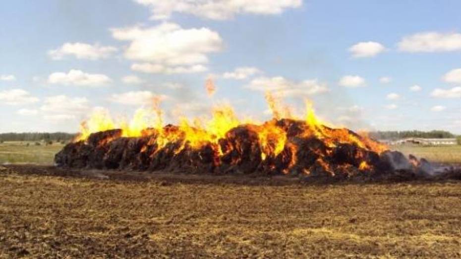 В Воронежской области пожар уничтожил 250 тонн сена 