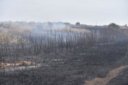 На борьбу с мощным пожаром в отдаленном районе Воронежской области прибыл спецпоезд