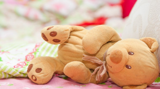 В Воронежской области исчезнут два детских дома