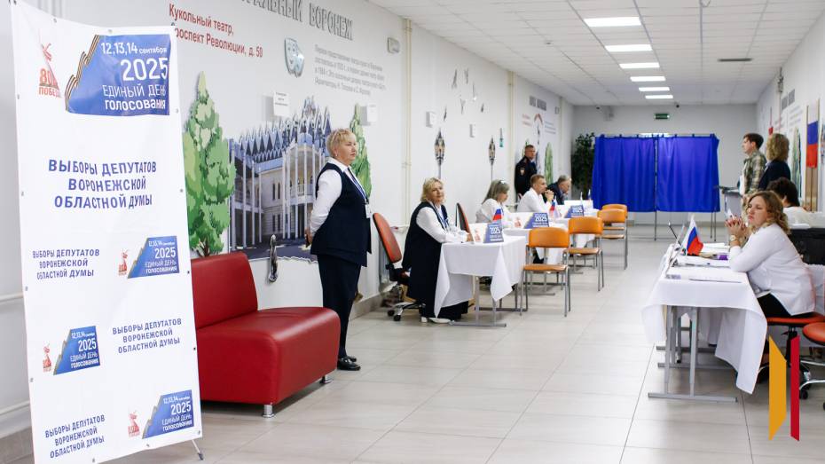 «Явка – классическая для региональных и местных выборов»: эксперты – о трехдневном голосовании в Воронежской области
