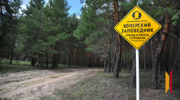Площадь Хоперского заповедника в Воронежской области станет больше почти на 500 га