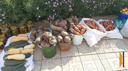 Жительница Панинского района передала более 80 кг овощей со своего огорода бойцам СВО