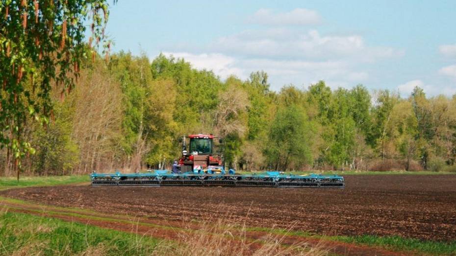 Влажность почвы повлияла на темпы сева яровых в Воронежской области