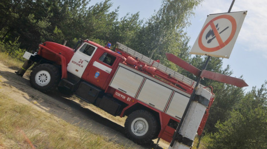 Высшая пожароопасность установлена в восьми районах Воронежской области