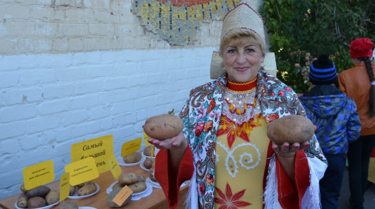 В россошанском селе Кривоносово пройдет праздник «Славься, русская картошка!»