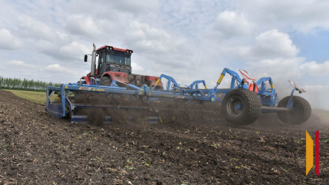 В Воронежской области отменили режим ЧС в сельском хозяйстве, введенный из-за заморозков