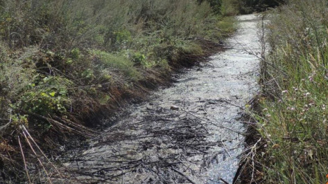 В Воронежской области нефтебаза загрязнила почву