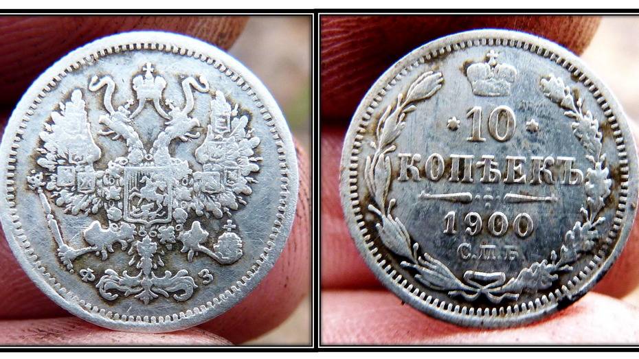 Учитель истории из Таловского района нашел серебряную монету времен Николая II