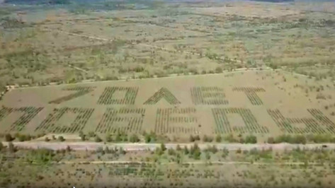 Воронежский лесной геоглиф показали с высоты птичьего полета