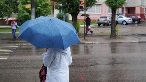 Грозовые дожди пройдут в Воронеже на короткой рабочей неделе