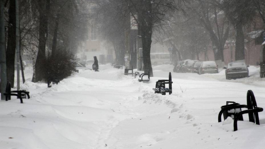Сильнейший снегопад вплотную подошел к Воронежской области