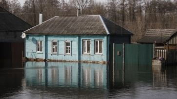  На определение границ зон затопления в Воронежской области выделят до 66 млн рублей