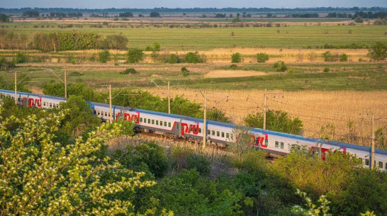 Воронежцам рассказали, какие южные поезда задерживаются 3 сентября