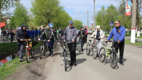 Таловские школьники приняли участие в велопробеге «На родину Героя»