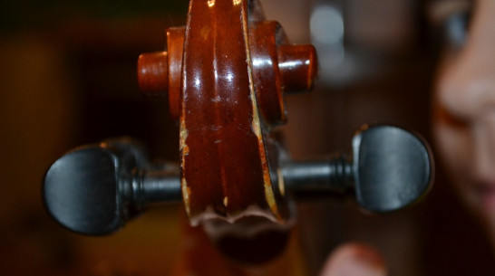 Никитинская библиотека пригласила воронежцев на «Встречи со скрипкой»