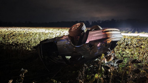 В Воронежской области BMW вылетел в кювет и перевернулся: погиб водитель