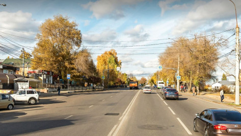 В Воронеже подготовят планировку дороги с надземным переходом у «Березовой рощи»