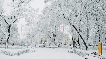В Воронеже короткая рабочая неделя будет снежной и морозной
