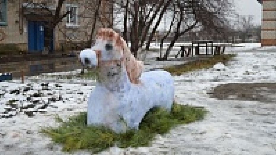 В Кантемировке появилась голубая лошадь