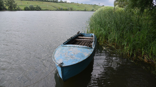 На реке Дон в воронежском райцентре перевернулась лодка: утонул мужчина