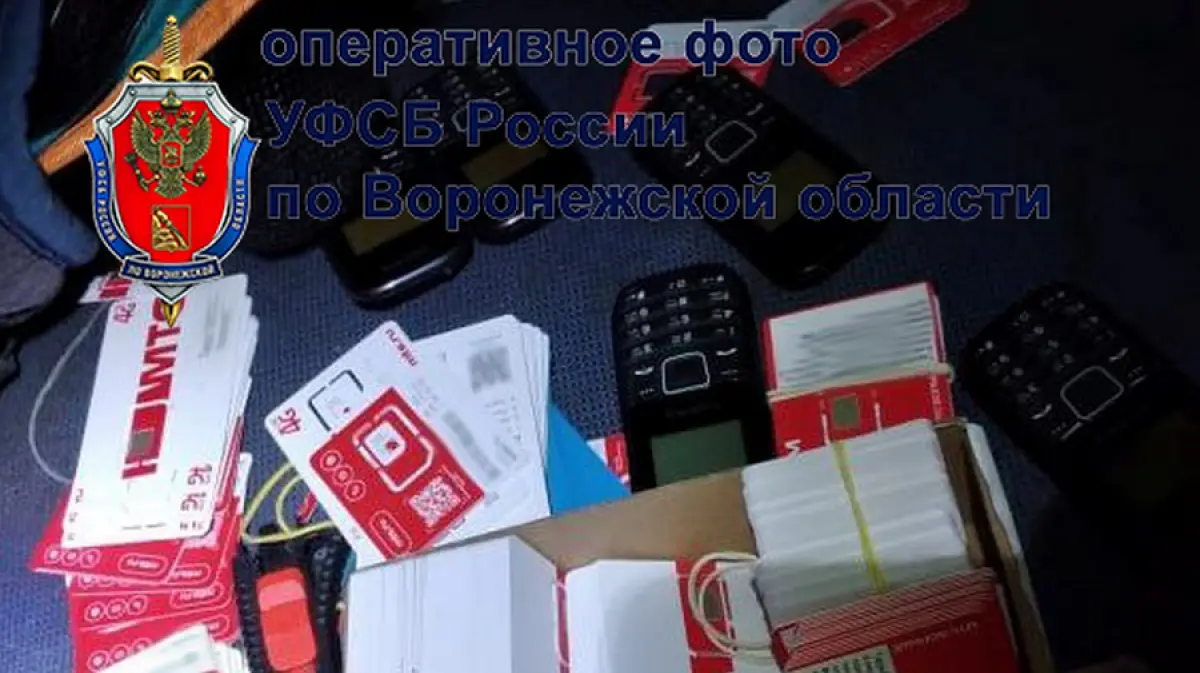 В Воронеже задержали 3 владельцев SIM-боксов, используемых сетевыми  террористами