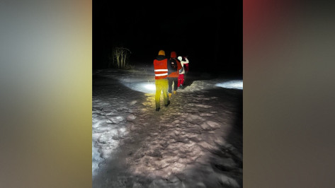 Воронежские волонтеры поделились подробностями поисков трех детей в микрорайоне Шилово