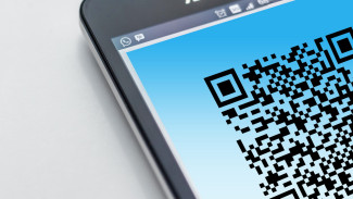 Систему допуска на мероприятия по QR-кодам проработают в Воронежской области