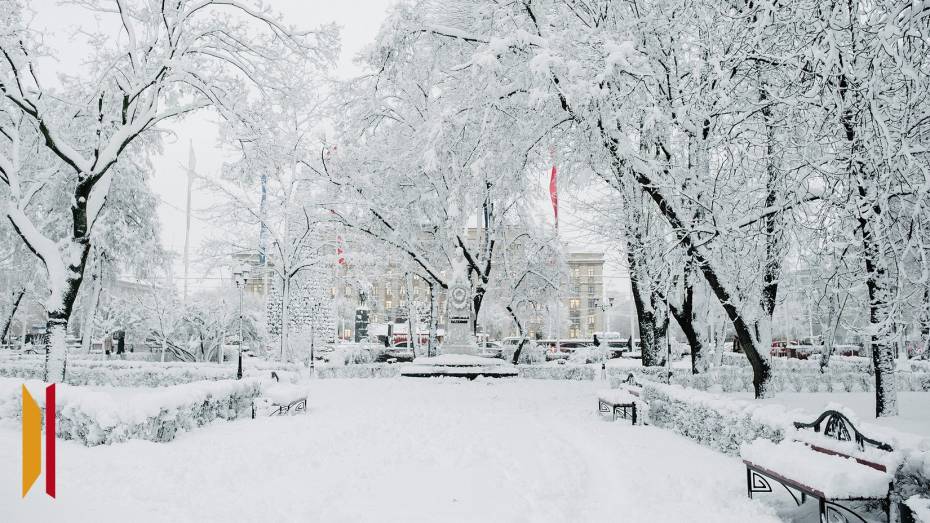 Обзор РИА «Воронеж». Какие законы вступают в силу в декабре 2025 года