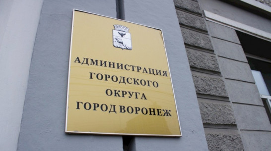 Мэрия Воронежа создаст залоговый фонд для поддержки малого бизнеса