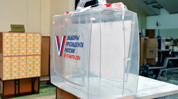 Жители Воронежской области могут проголосовать на выборах Президента РФ, не выходя из дома