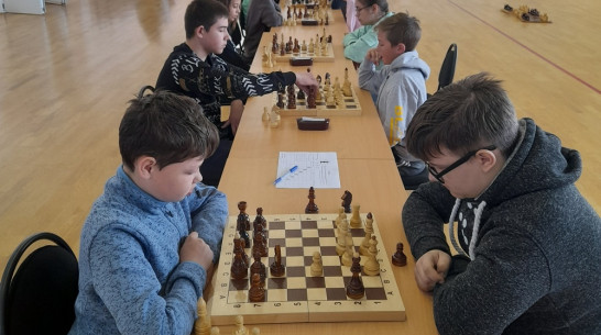 В Панино прошел шахматный турнир