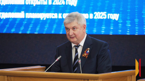 Губернатор Александр Гусев: 9 воронежцев удостоены звания Героя РФ