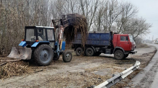 Территорию у моста в грибановском селе Нижний Карачан очистили от мусора после паводка