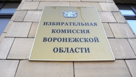 В Борисоглебском городском округе назначат нового члена ТИК