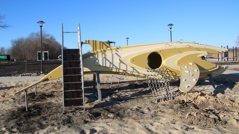 Детский комплекс за 3 млн рублей в виде кита установили на пляже в Панино