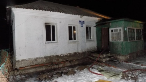 В Воронежской области при пожаре погиб сын хозяйки дома