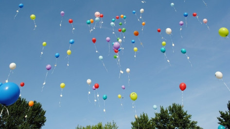 В Воронеже впервые пройдет интерактивный фестиваль «Мой город – мои возможности»