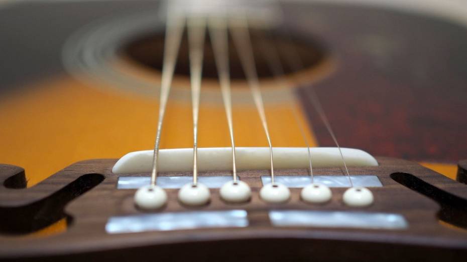 Воронежских любителей гитарной музыки пригласили на творческий вечер