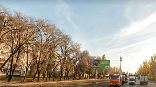 В Воронеже бульвар «Героев Сталинграда» благоустроят за 1,3 млн рублей
