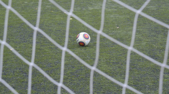 Воронежский «Факел» завершил первый круг ФНЛ на 15 месте