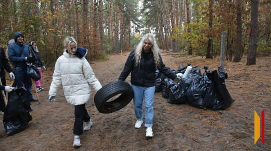 Осенний общеобластной субботник пройдет в Воронежской области 11 октября